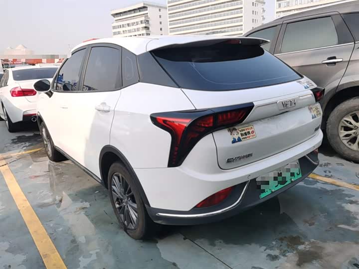 Фото 5 - Hozon V