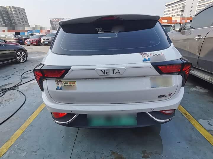 Фото 6 - Hozon V