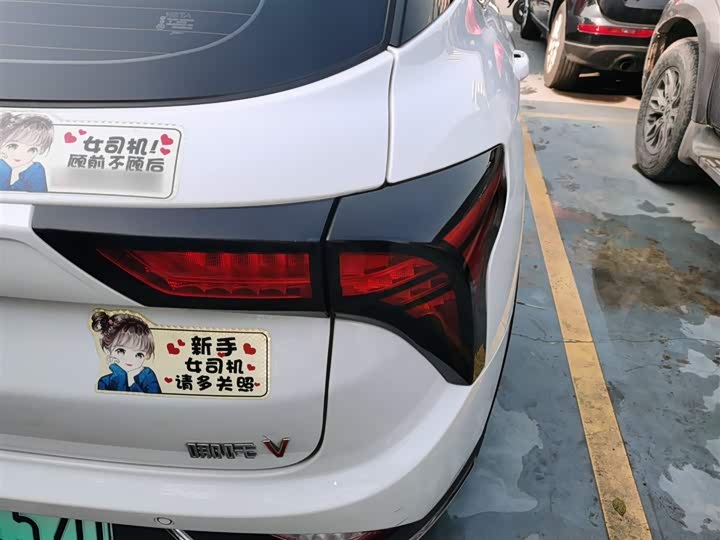 Фото 8 - Hozon V