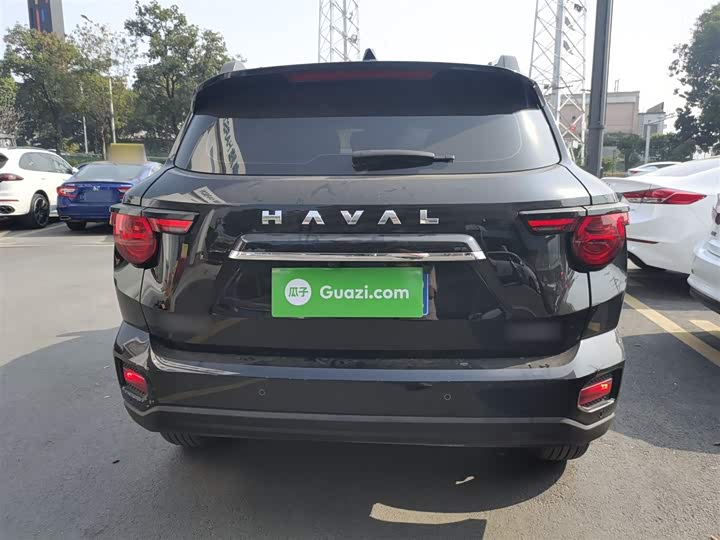 Фото 6 - Haval H-Dog