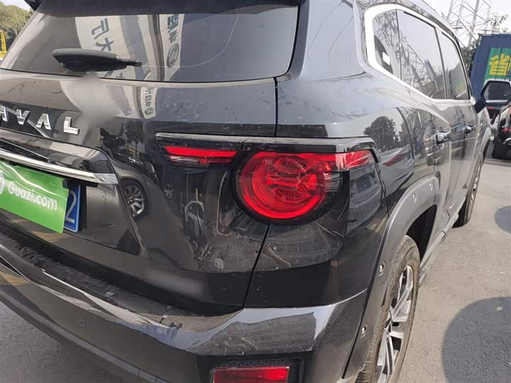 Фото 8 - Haval H-Dog