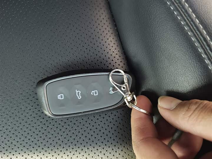 Фото 9 - Haval H-Dog