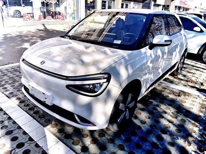 Фото 2 - Dongfeng Nammi 01