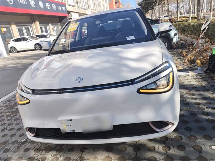 Фото 3 - Dongfeng Nammi 01