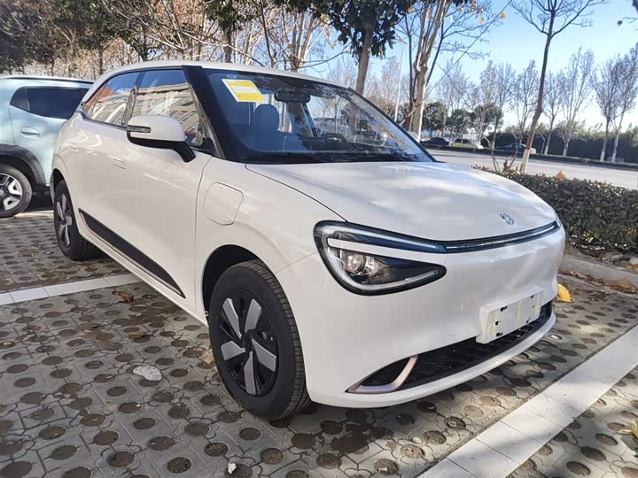 Фото 4 - Dongfeng Nammi 01