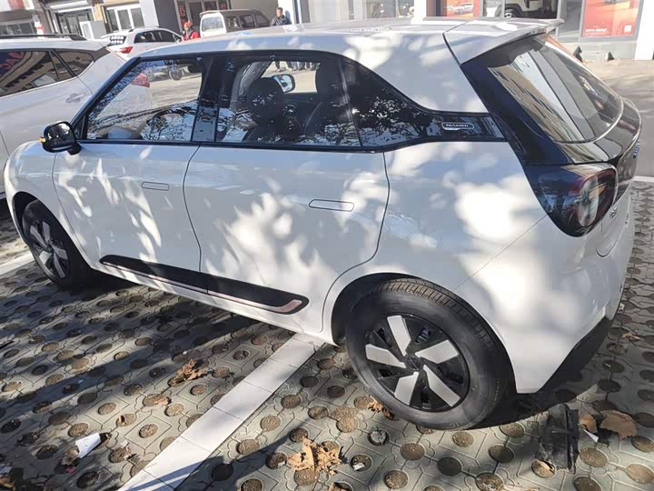 Фото 5 - Dongfeng Nammi 01