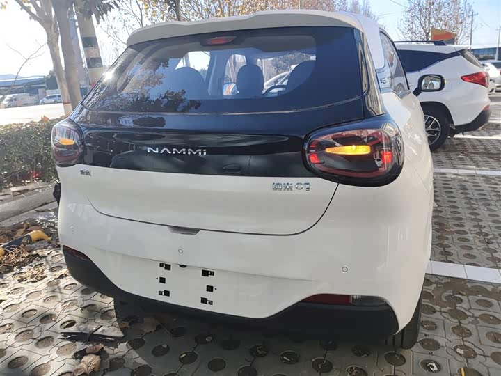 Фото 6 - Dongfeng Nammi 01