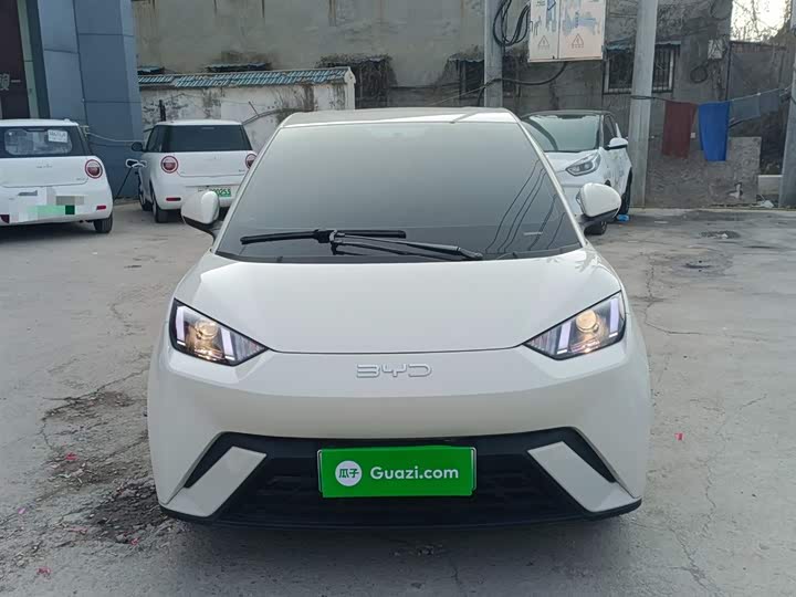 Фото 3 - BYD Seagull