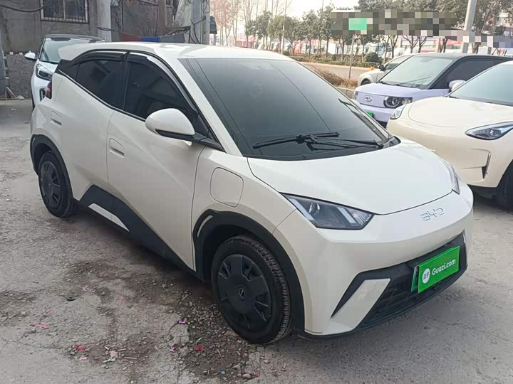 Фото 4 - BYD Seagull