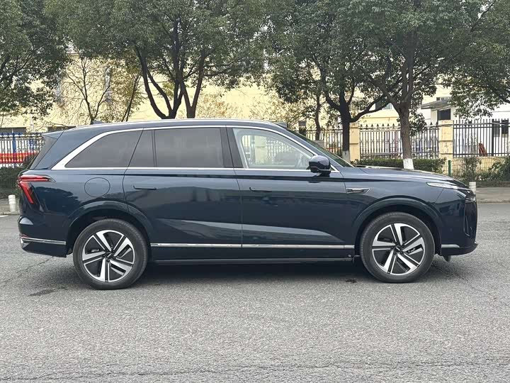 Фото 3 - Wey Lanshan