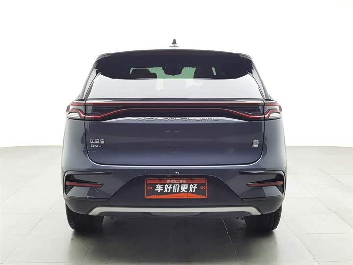 Фото 4 - BYD Tang Hybrid/EV