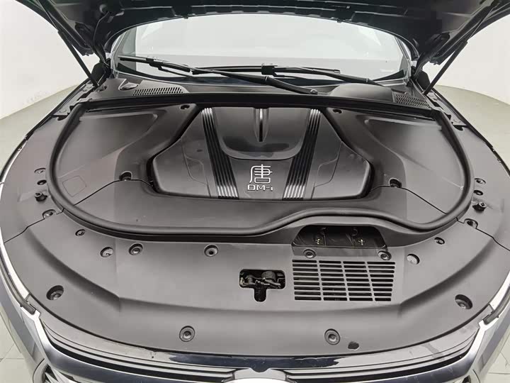 Фото 6 - BYD Tang Hybrid/EV