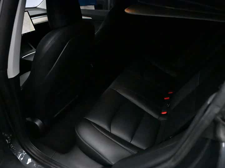 Фото 6 - Tesla Model 3