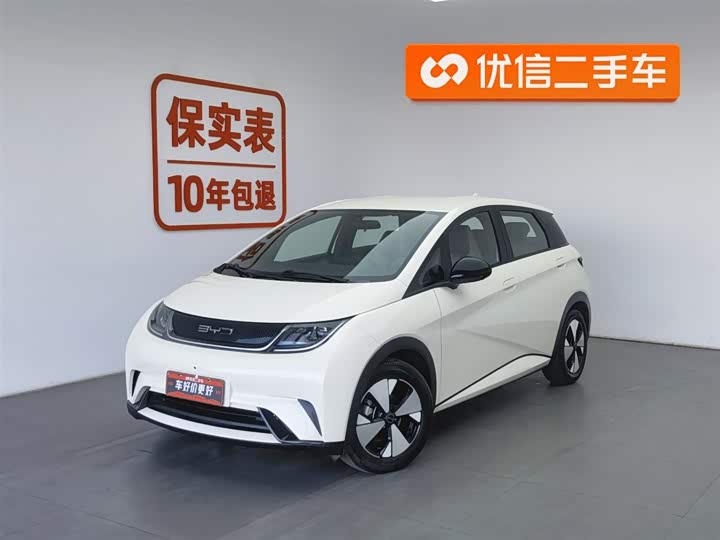 Фото 1 - BYD Dolphin