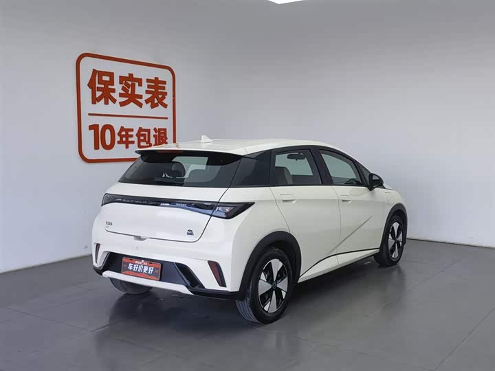 Фото 2 - BYD Dolphin