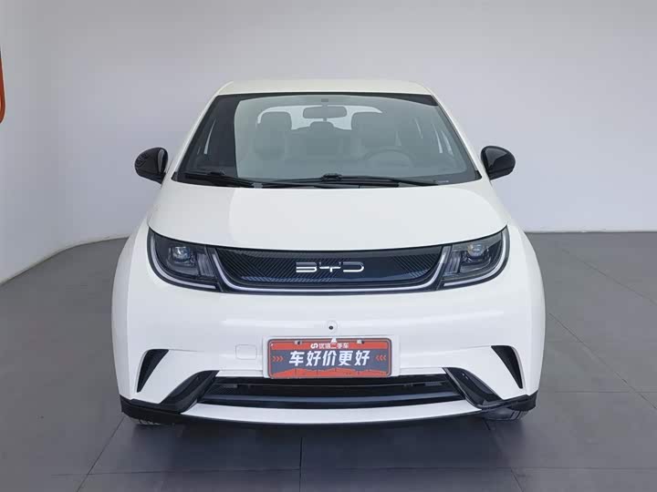 Фото 3 - BYD Dolphin