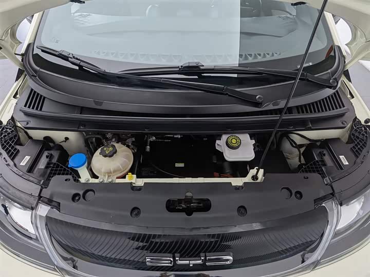 Фото 6 - BYD Dolphin