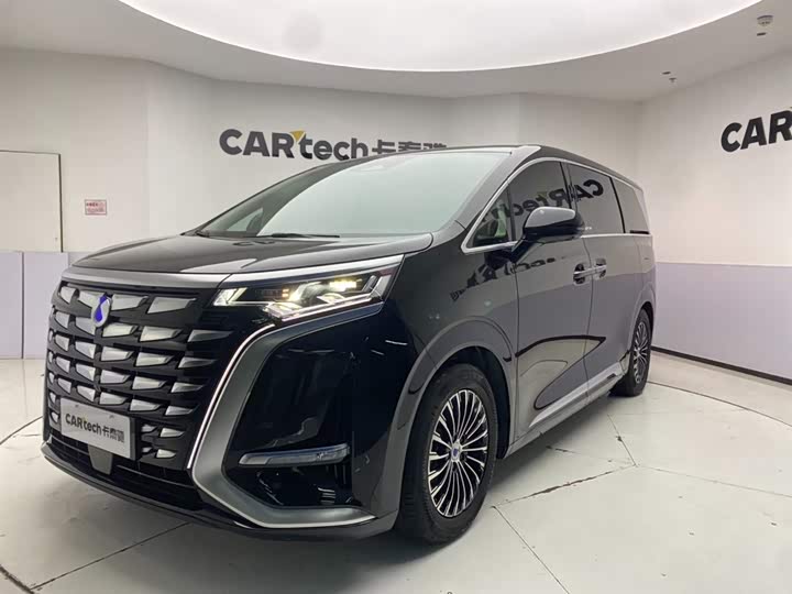 Фото 2 - Denza D9