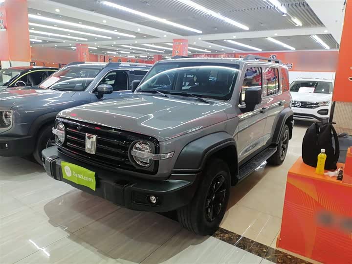 Фото 2 - Tank 300