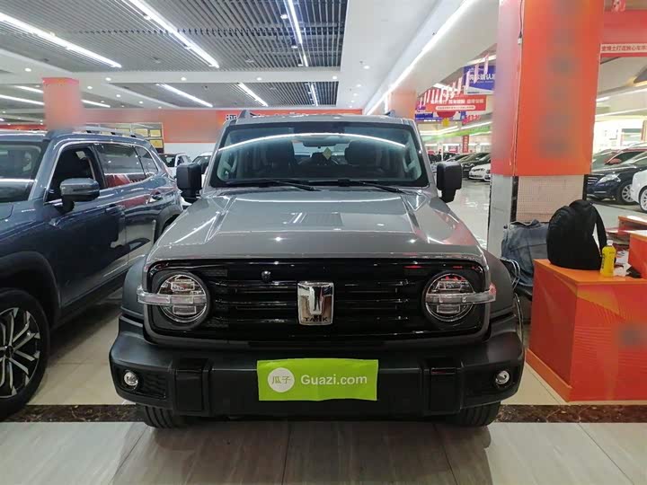 Фото 3 - Tank 300