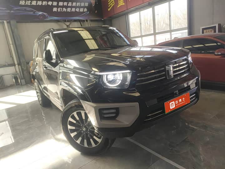 Фото 5 - Tank 700 Hybrid