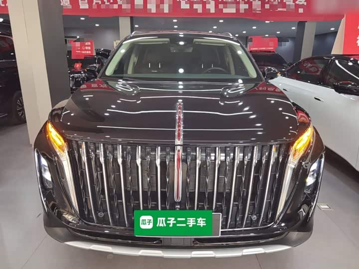 Фото 3 - Hongqi HS7 Hybrid