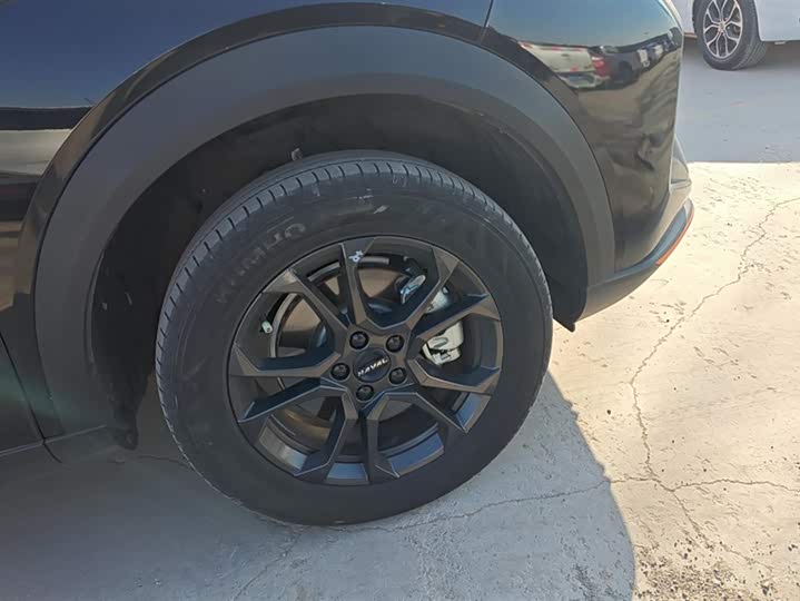 Фото 6 - Haval F7 (Monster)