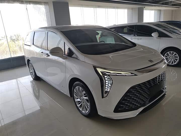 Фото 4 - Buick GL8 Century