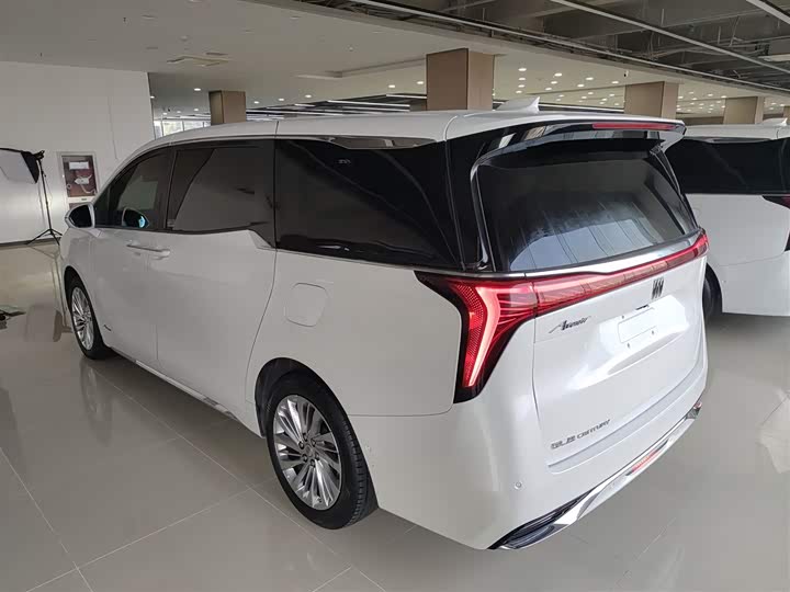 Фото 5 - Buick GL8 Century