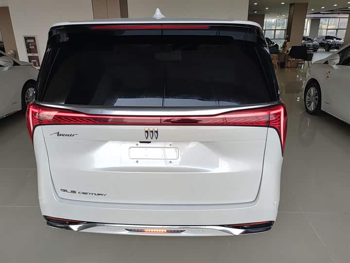 Фото 6 - Buick GL8 Century