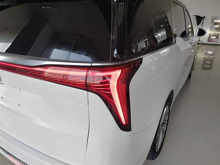 Фото 8 - Buick GL8 Century