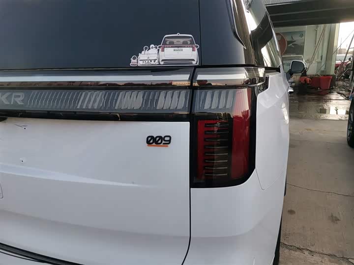 Фото 8 - Zeekr 009