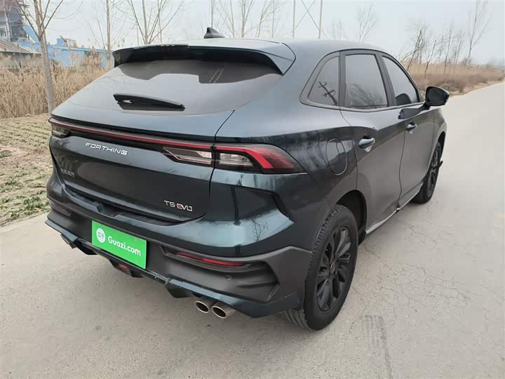 Фото 7 - Dongfeng Forthing T5 EVO