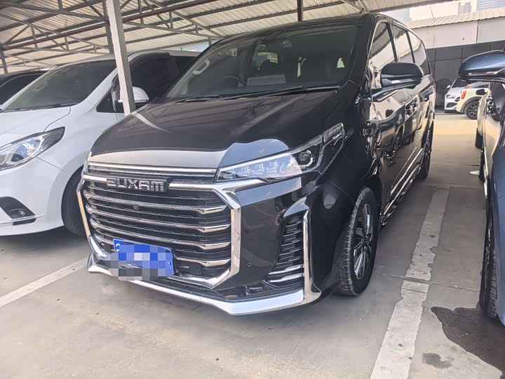 Фото 1 - Maxus G20