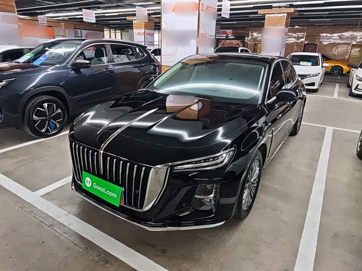 Фото 1 - Hongqi H5