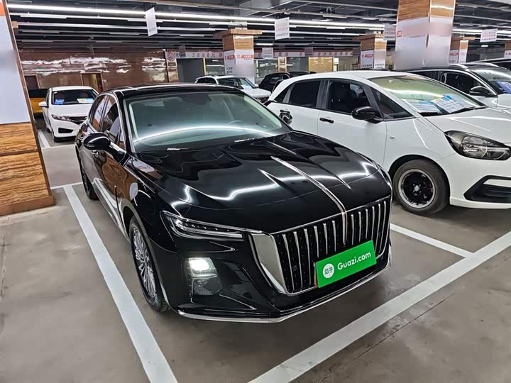 Фото 4 - Hongqi H5