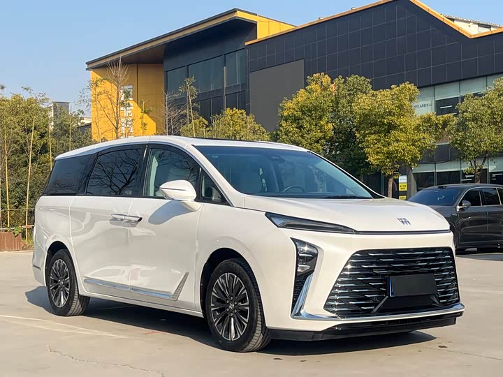 Фото 3 - Buick GL8 ES