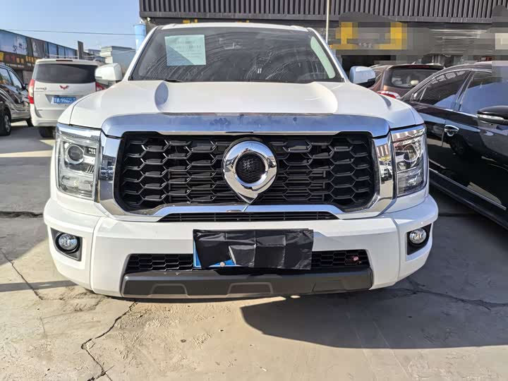 Фото 2 - Great Wall King Kong Poer