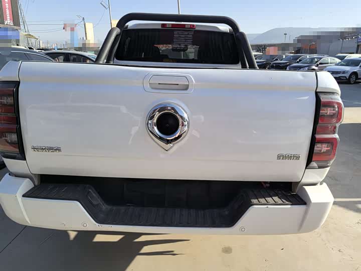 Фото 5 - Great Wall King Kong Poer