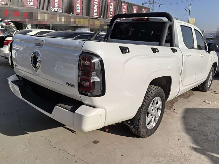 Фото 6 - Great Wall King Kong Poer