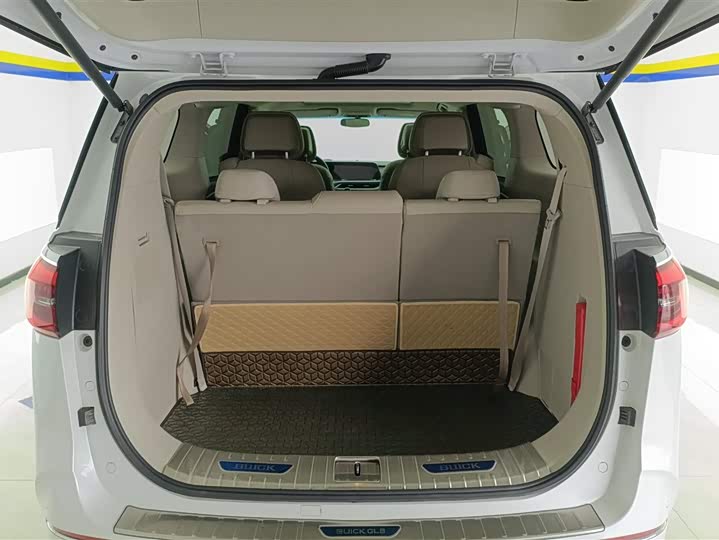 Фото 4 - Buick GL8 ES