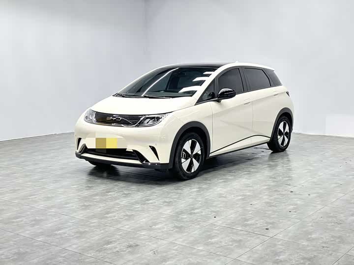 Фото 1 - BYD Dolphin