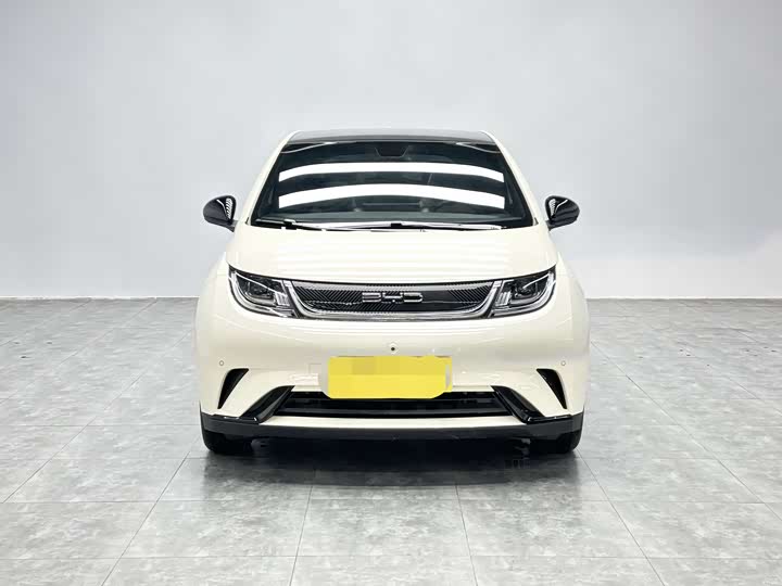 Фото 2 - BYD Dolphin