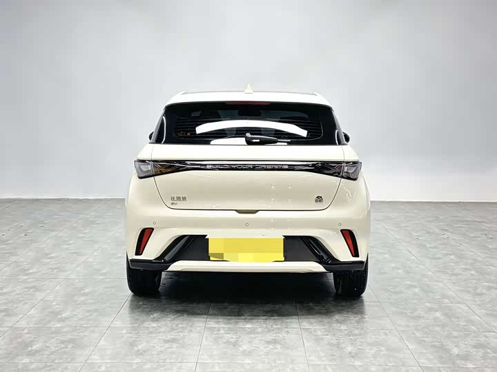 Фото 3 - BYD Dolphin