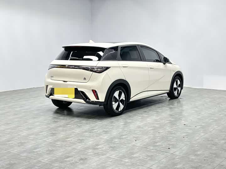 Фото 4 - BYD Dolphin