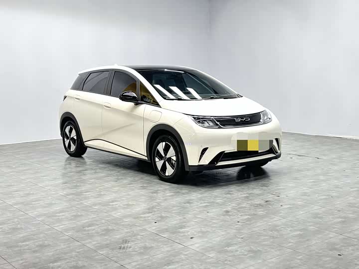 Фото 5 - BYD Dolphin