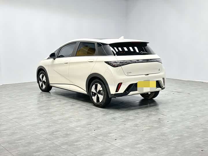 Фото 6 - BYD Dolphin