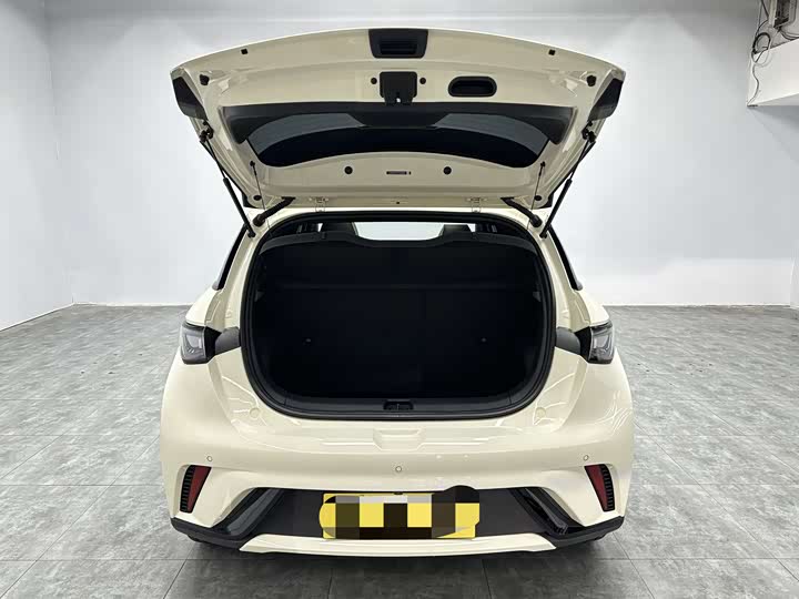 Фото 7 - BYD Dolphin