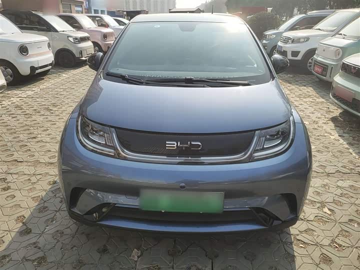 Фото 3 - BYD Dolphin