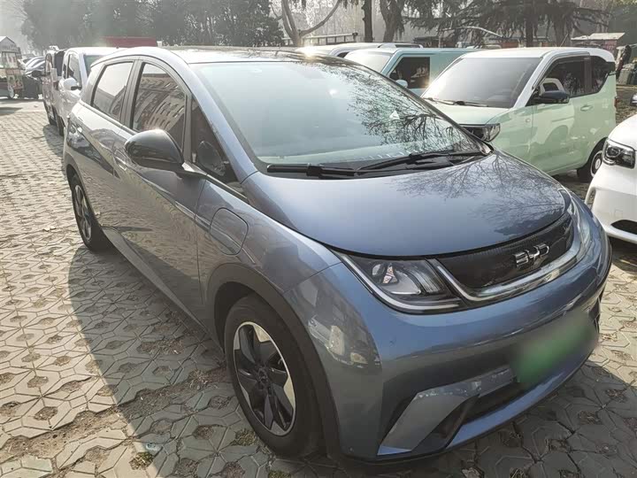 Фото 4 - BYD Dolphin